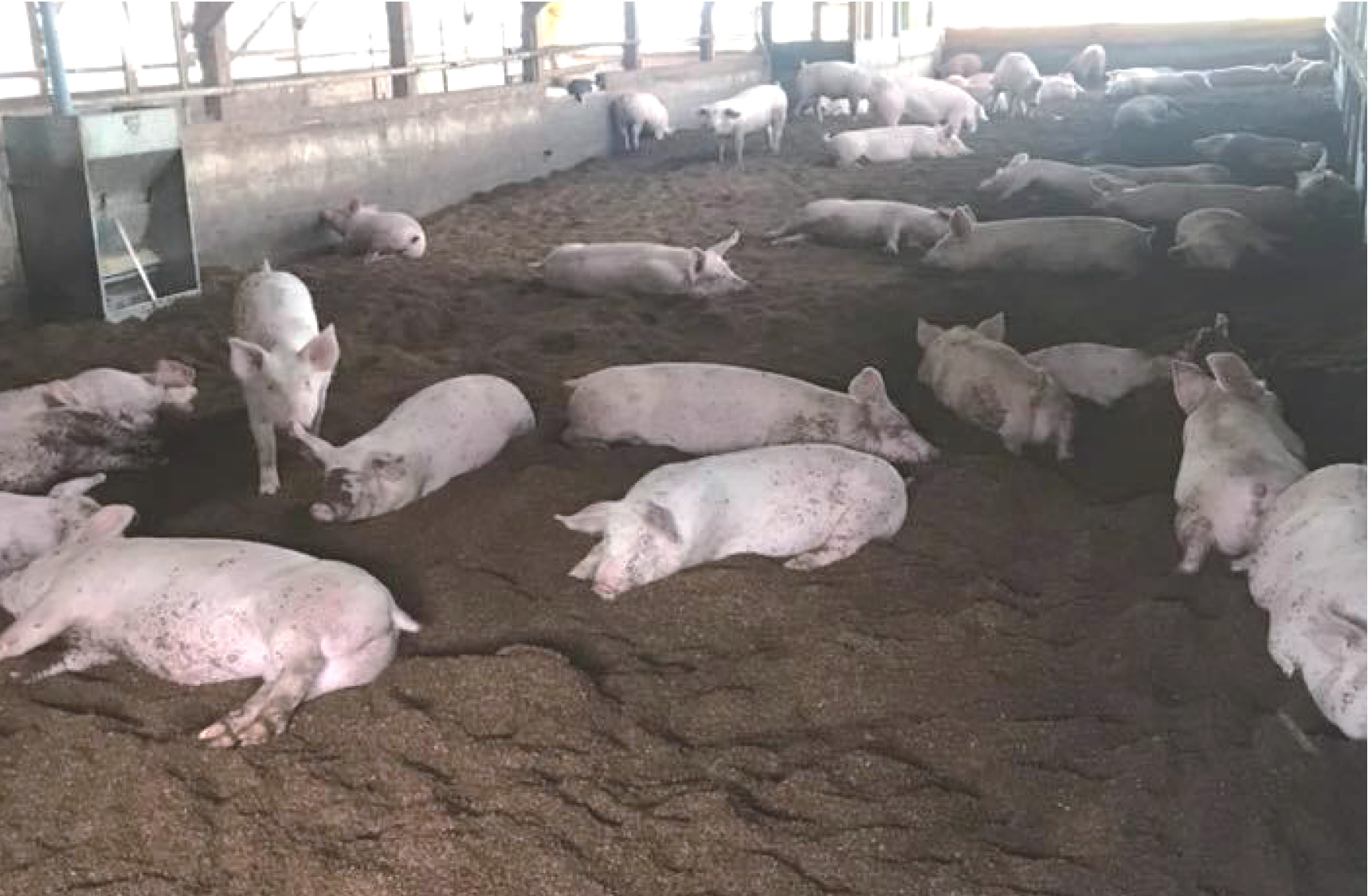 家畜排せつ物の適正処理と有効利用について - 宮城県公式ウェブ